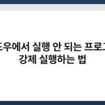 윈도우에서 실행 안 되는 프로그램 강제 실행하는 법 2