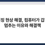 프리징 현상 해결, 컴퓨터가 갑자기 멈추는 이유와 해결책 9