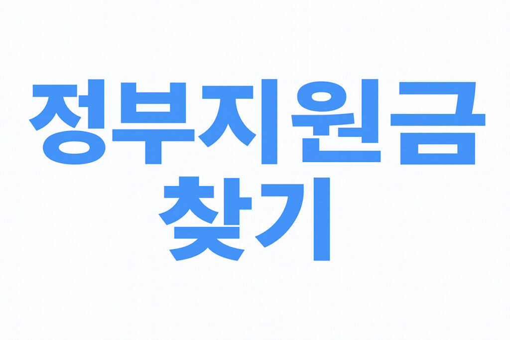 각종 정부지원금 1