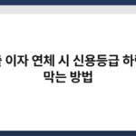 대출 이자 연체 시 신용등급 하락을 막는 방법 7