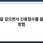 대출을 갚으면서 신용점수를 올리는 방법 3