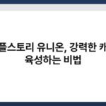 메이플스토리 유니온, 강력한 캐릭터 육성하는 비법 6