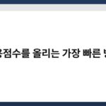 신용점수를 올리는 가장 빠른 방법 5