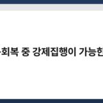 신용회복 중 강제집행이 가능한가? 3