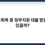 신용회복 중 정부지원 대출 받을 수 있을까? 5
