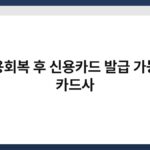 신용회복 후 신용카드 발급 가능한 카드사 4