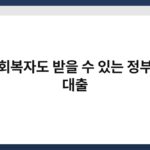 신용회복자도 받을 수 있는 정부지원 대출 3