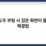 윈도우 부팅 시 검은 화면이 뜰 때 해결법 4
