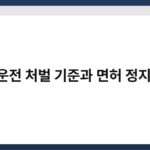 음주운전 처벌 기준과 면허 정지 기준 6