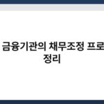 주요 금융기관의 채무조정 프로그램 정리 3