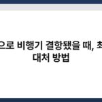 태풍으로 비행기 결항됐을 때, 최선의 대처 방법 4