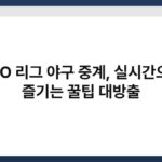 KBO 리그 야구 중계, 실시간으로 즐기는 꿀팁 대방출 3