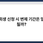 개인회생 신청 시 변제 기간은 얼마나 될까? 6