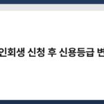 개인회생 신청 후 신용등급 변화 5