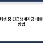 개인회생 중 긴급생계자금 대출 신청 방법 5