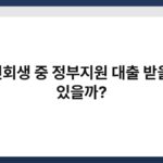 개인회생 중 정부지원 대출 받을 수 있을까? 5