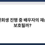 개인회생 진행 중 배우자의 재산은 보호될까? 4