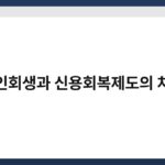 개인회생과 신용회복제도의 차이 6