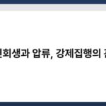 개인회생과 압류, 강제집행의 관계 7