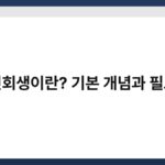 개인회생이란? 기본 개념과 필요성 4