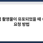 불법 촬영물이 유포되었을 때 삭제 요청 방법 5