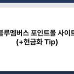 블루멤버스 포인트몰 사이트 (+현금화 Tip) 3