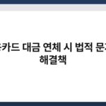 신용카드 대금 연체 시 법적 문제와 해결책 6