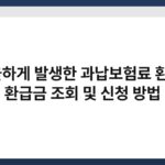 억울하게 발생한 과납보험료 환급 : 환급금 조회 및 신청 방법 5