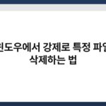 윈도우에서 강제로 특정 파일 삭제하는 법 4