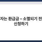 잠자는 환급금 – 소멸되기 전에 신청하기 6