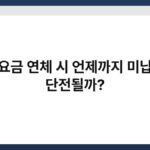 전기요금 연체 시 언제까지 미납하면 단전될까? 6
