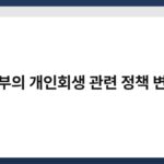 정부의 개인회생 관련 정책 변화 3