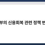 정부의 신용회복 관련 정책 변화 5