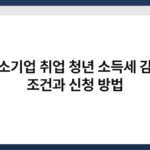 중소기업 취업 청년 소득세 감면 조건과 신청 방법 5