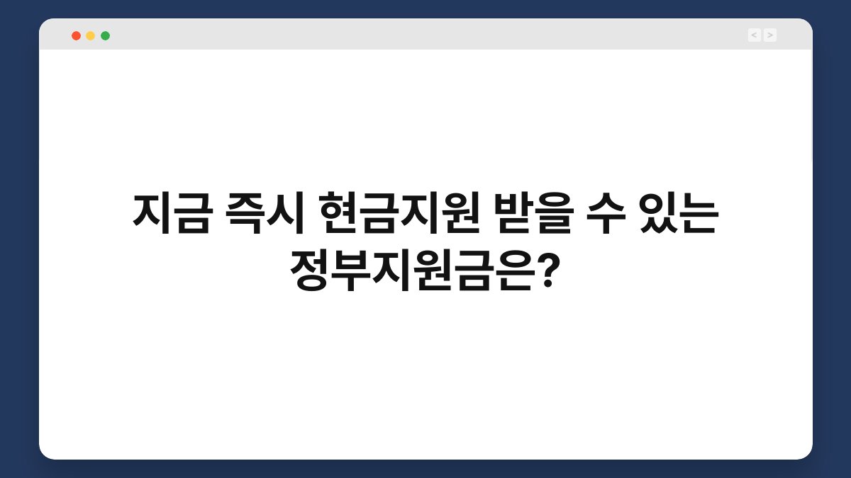 지금 즉시 현금지원 받을 수 있는 정부지원금은? 1