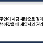 집주인이 세금 체납으로 경매에 넘어갔을 때 세입자의 권리 3