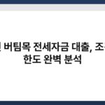 청년 버팀목 전세자금 대출, 조건과 한도 완벽 분석 6