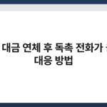 카드 대금 연체 후 독촉 전화가 올 때 대응 방법 7