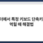 컴퓨터에서 특정 키보드 단축키가 안 먹힐 때 해결법 4
