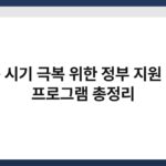 힘든 시기 극복 위한 정부 지원 대출 프로그램 총정리 4