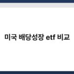 미국 배당성장 etf 비교 6