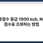 신용점수 등급 1000 kcb, Nice 점수표 조회하는 방법 6
