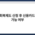 신용회복제도 신청 후 신용카드 사용 가능 여부 6