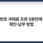 차량번호 과태료 조회 5분만에 미납 확인·납부 방법 6