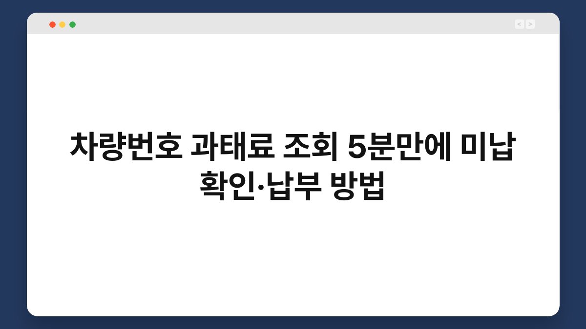 차량번호 과태료 조회 5분만에 미납 확인·납부 방법 1