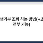 카톡 생기부 조회 하는 방법(+초중고 전부 가능) 3