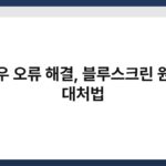 윈도우 오류 해결, 블루스크린 원인과 대처법 4